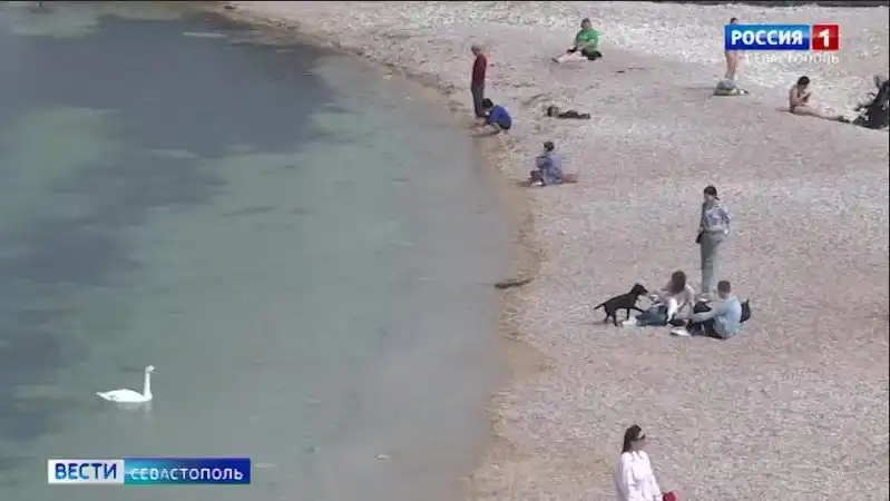 Как идёт подготовка пляжей в Севастополе к курортному сезону