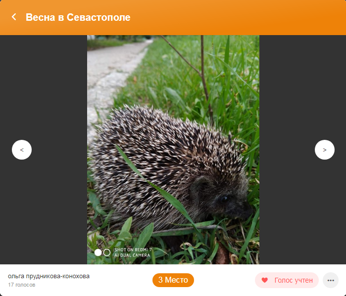Третье место фотоконкурс