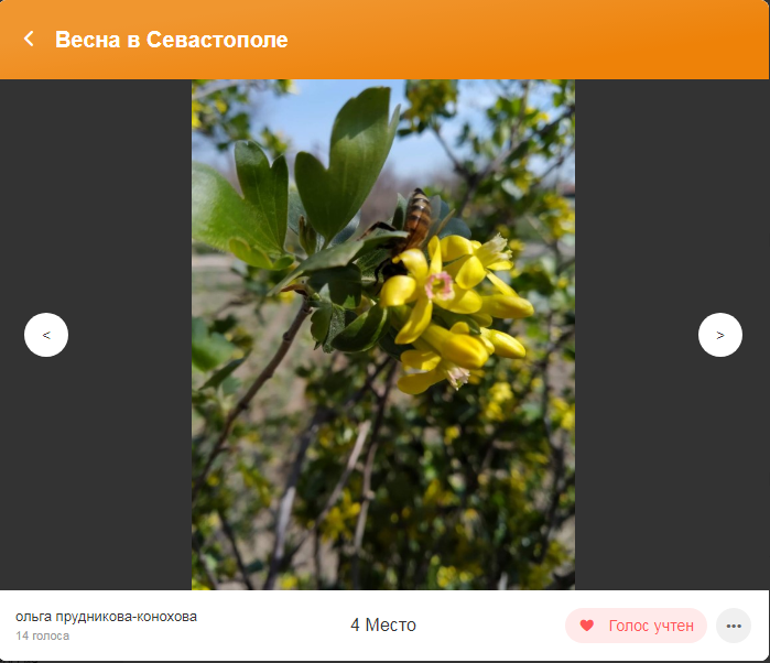 Третье место2 фотоконкурс