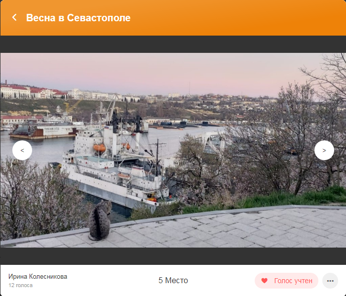 Четвертое место фотоконкурс
