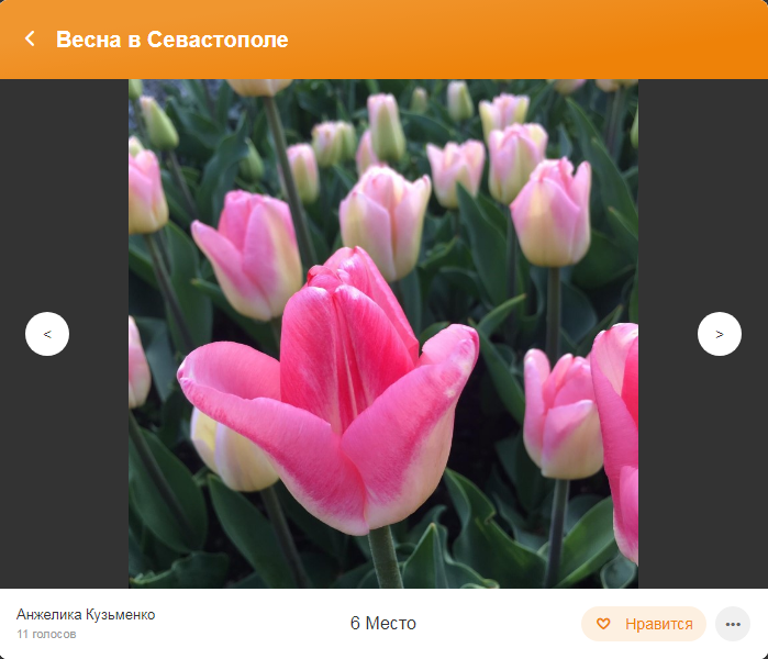 Пятое место фотоконкурс
