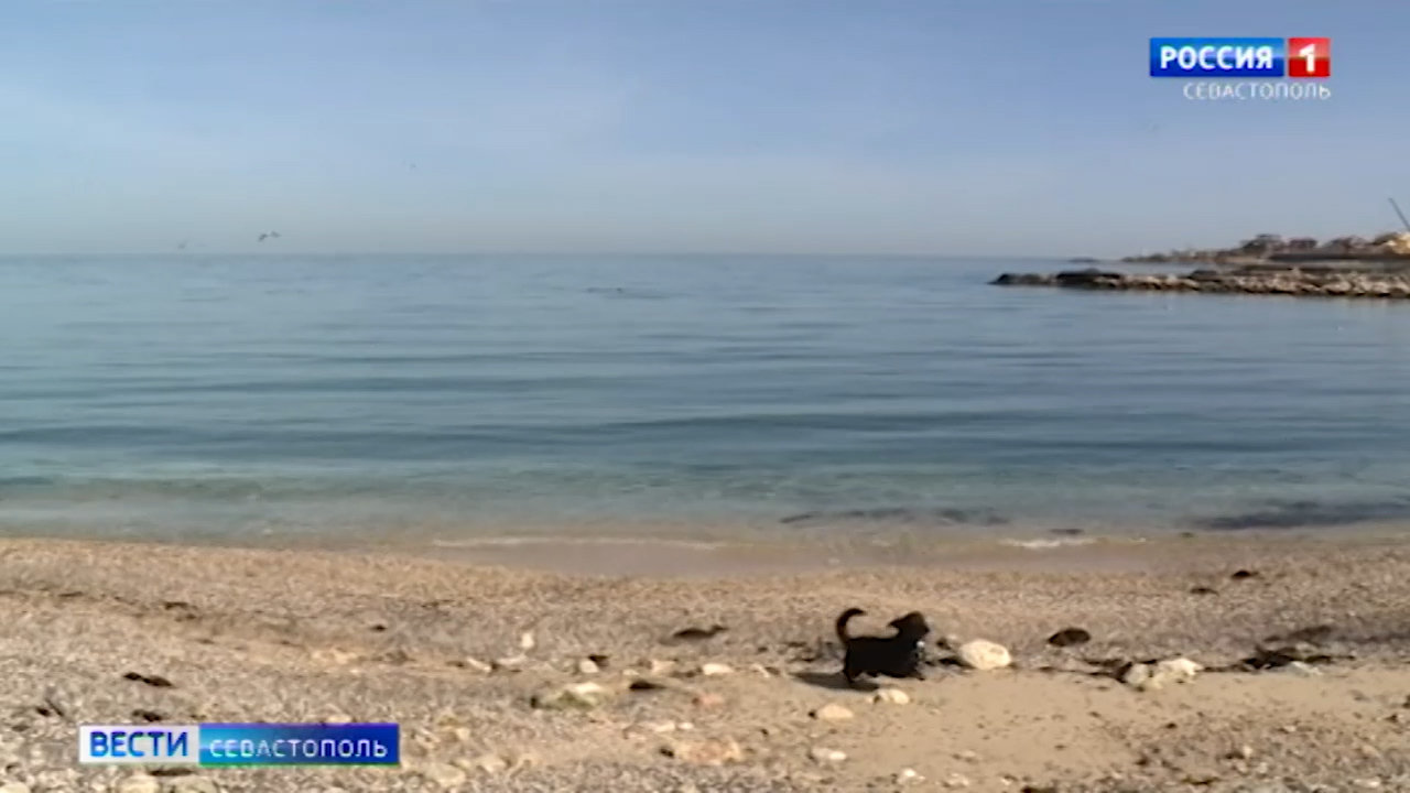 19-летнего пьяного юношу достали без сознания из моря в Евпатории></div>
<div class=