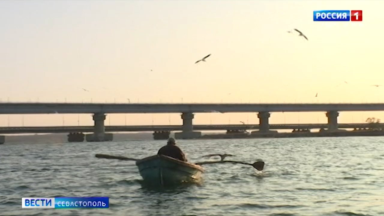 Дорогу до Крымского моста из Краснодара и съезды с «Тавриды» достроят за пару лет></div>
<div class=