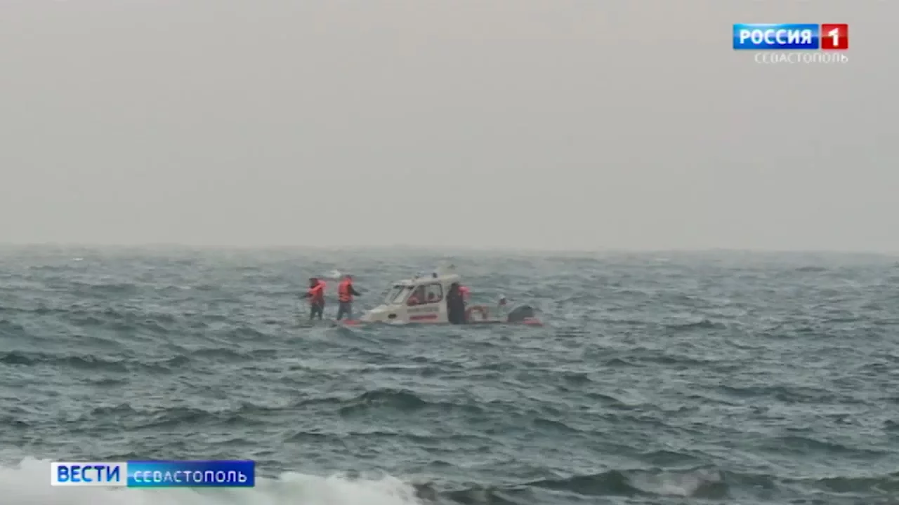 Поиски дельфинов в акватории Севастополя продолжатся утром 4 ноября></div>
<div class=