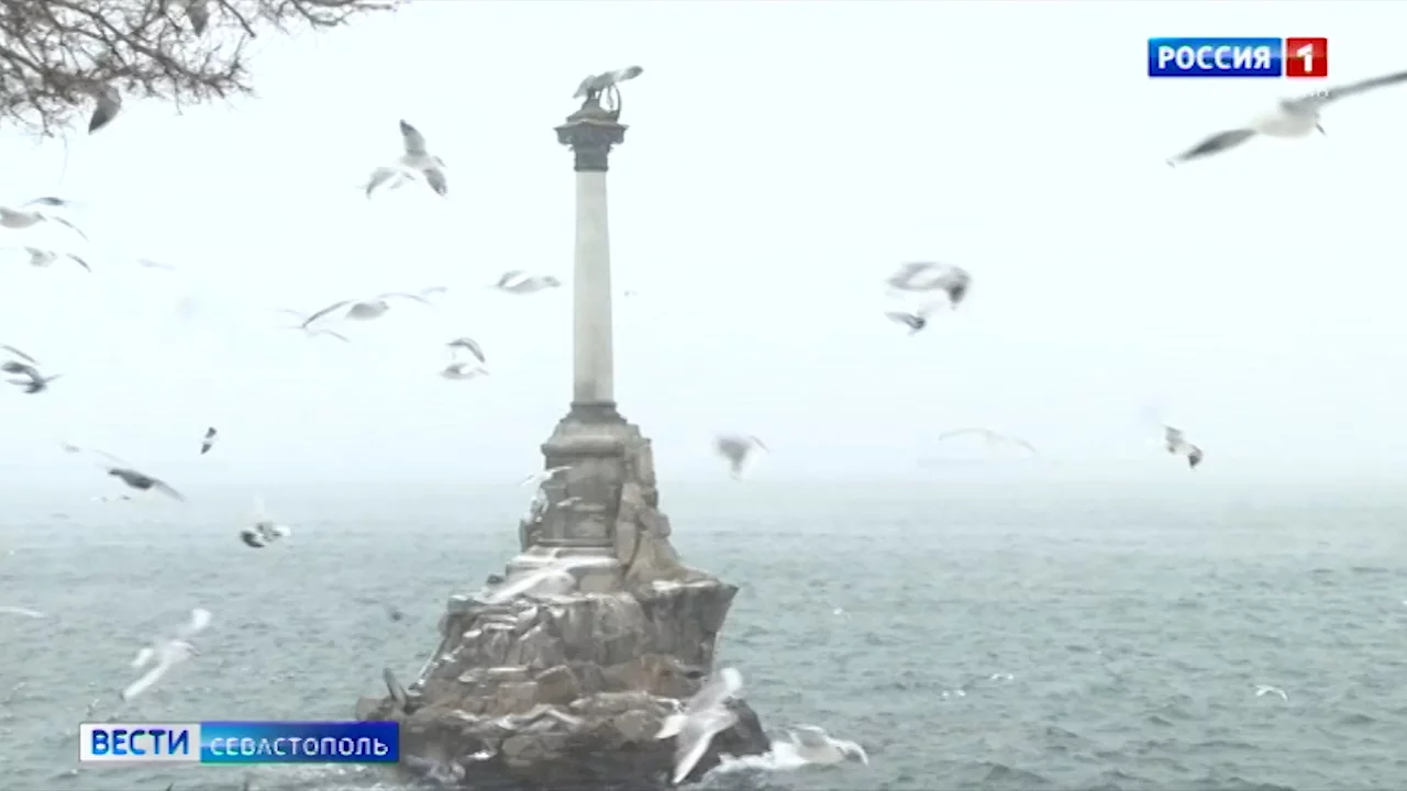 Бесплатные экскурсии проведут в Севастополе с 18 по 21 февраля></div>
	<div class=