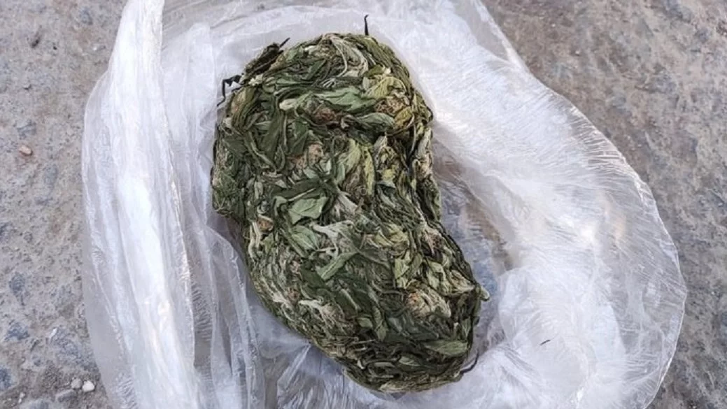 Полицейские нашли сверток с марихуаной в квартире 30-летнего севастопольца