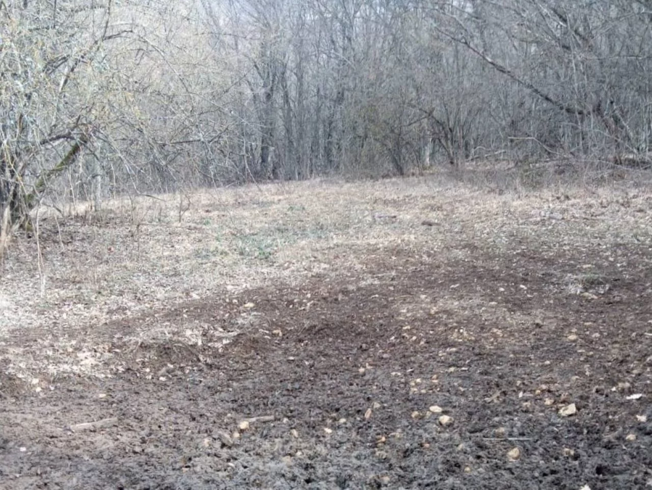 Охотнадзор ищет силки и капканы в лесах Севастополя