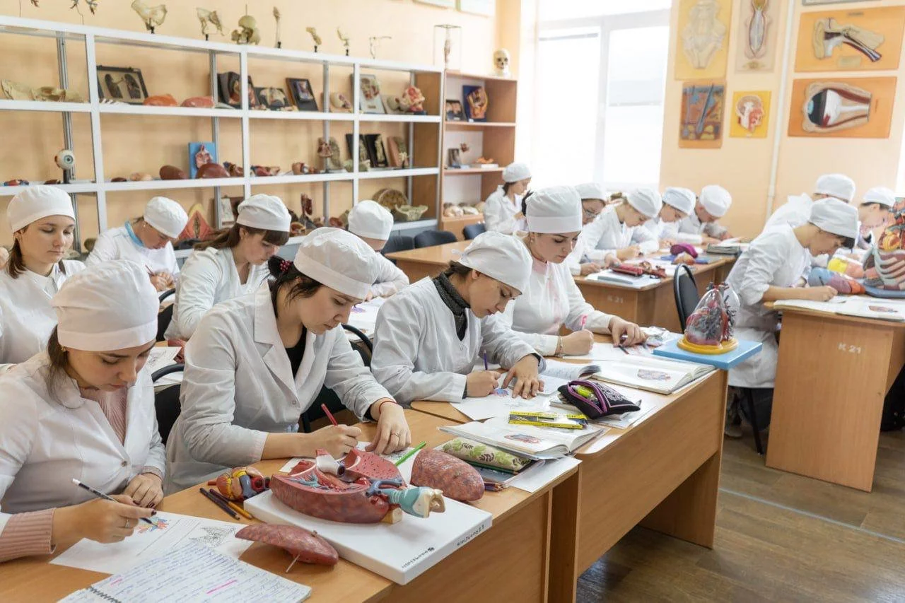 Дети бойцов СВО могут подать документы в колледжи Севастополя до 15 ноября></div>
	<div class=