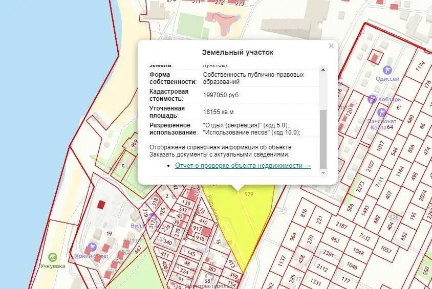 На северной стороне Севастополя в «Учкуевке» пытались продать лес