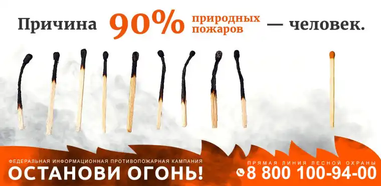В России стартовала Федеральная информационная противопожарная кампания «Останови огонь!»
