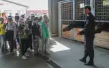 Единый центр кавалерии и кинологии УМВД России по городу Севастополю