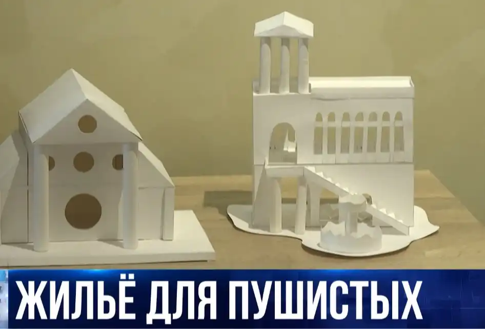 В Севастополе показали первые макеты котодомиков