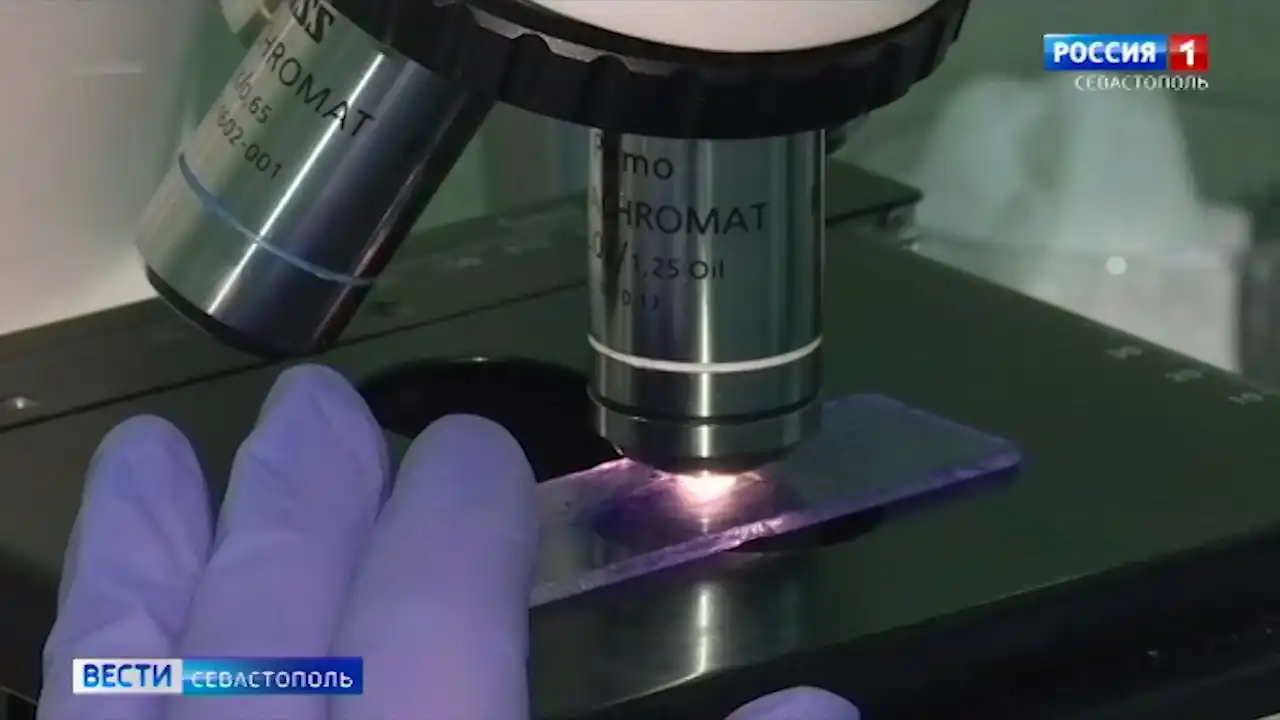 В Севастополе организована акция по экспресс-тестированию на вирус иммунодефицита></div>
<div class=