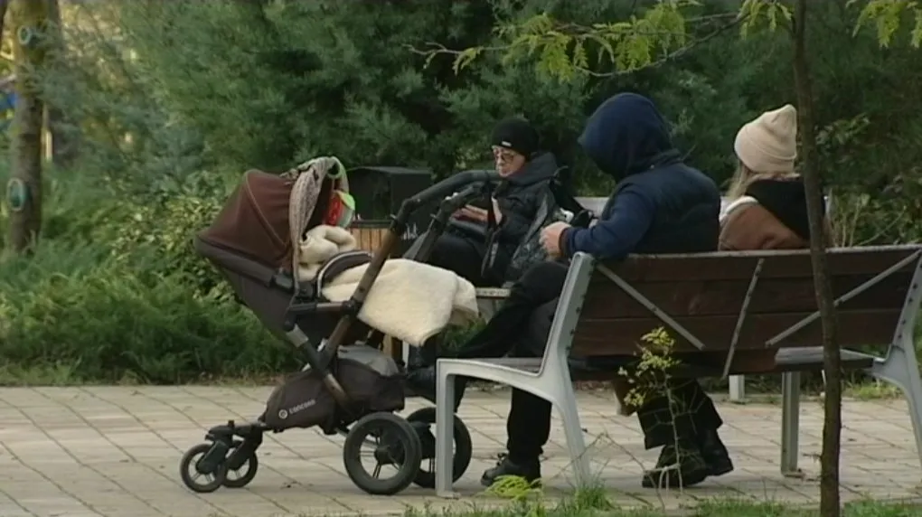 В Севастополе 2130 работающих мам воспользовались правом на получение пособия