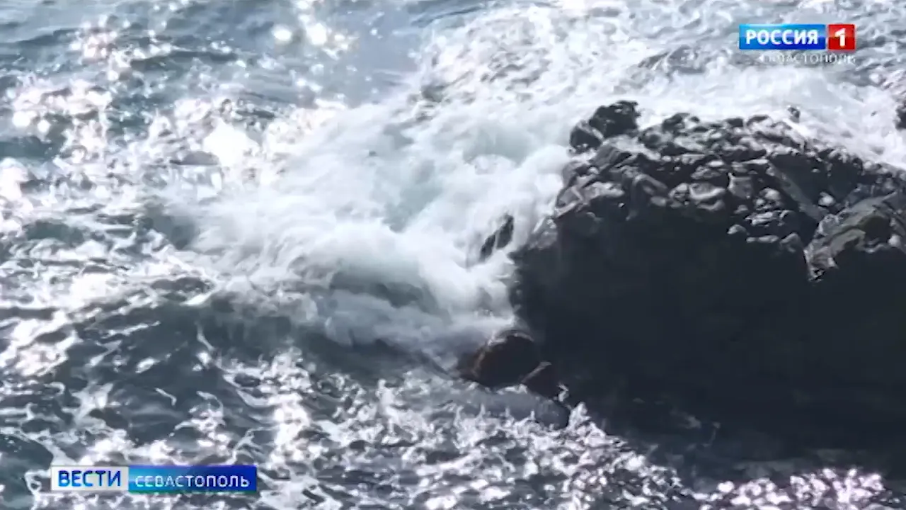 Пляжи Чёрного моря проверят перед туристическим сезоном></div>
	<div class=