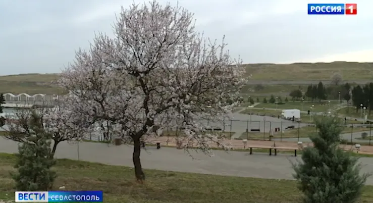 В Севастополе началась масштабная весенняя уборка города></div>
	<div class=