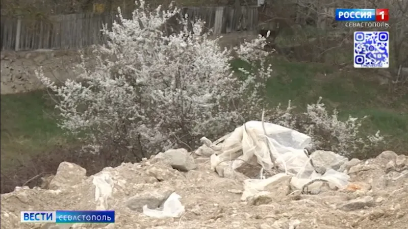 В Севастополе ликвидировли свалку в районе Молочной балки
