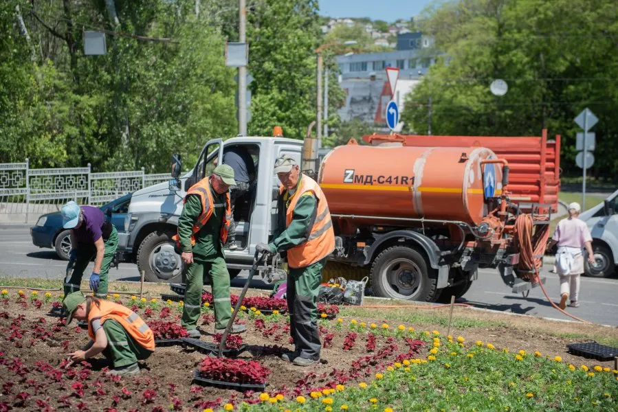 В Севастополе тюльпаны на клумбах заменят летними цветами до конца месяца></div>
	<div class=