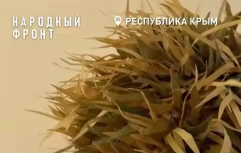 В Крыму создают шапки-невидимки для военных в зоне СВО></div>
	<div class=