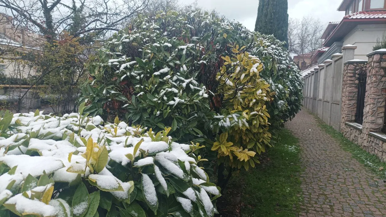 Весь день в Севастополе ожидается сильный ветер, снег и дождь></div>
	<div class=
