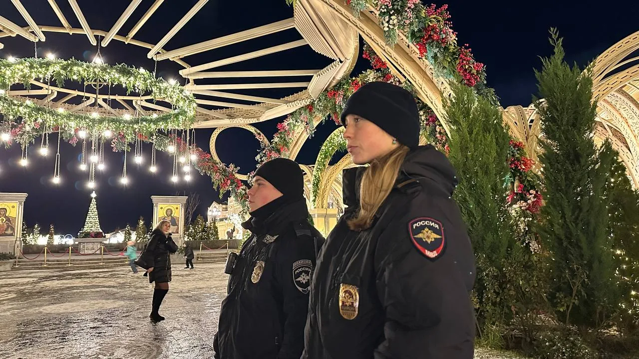 В Севастополе новогодняя ночь прошла без серьезных происшествий.></div>
	<div class=