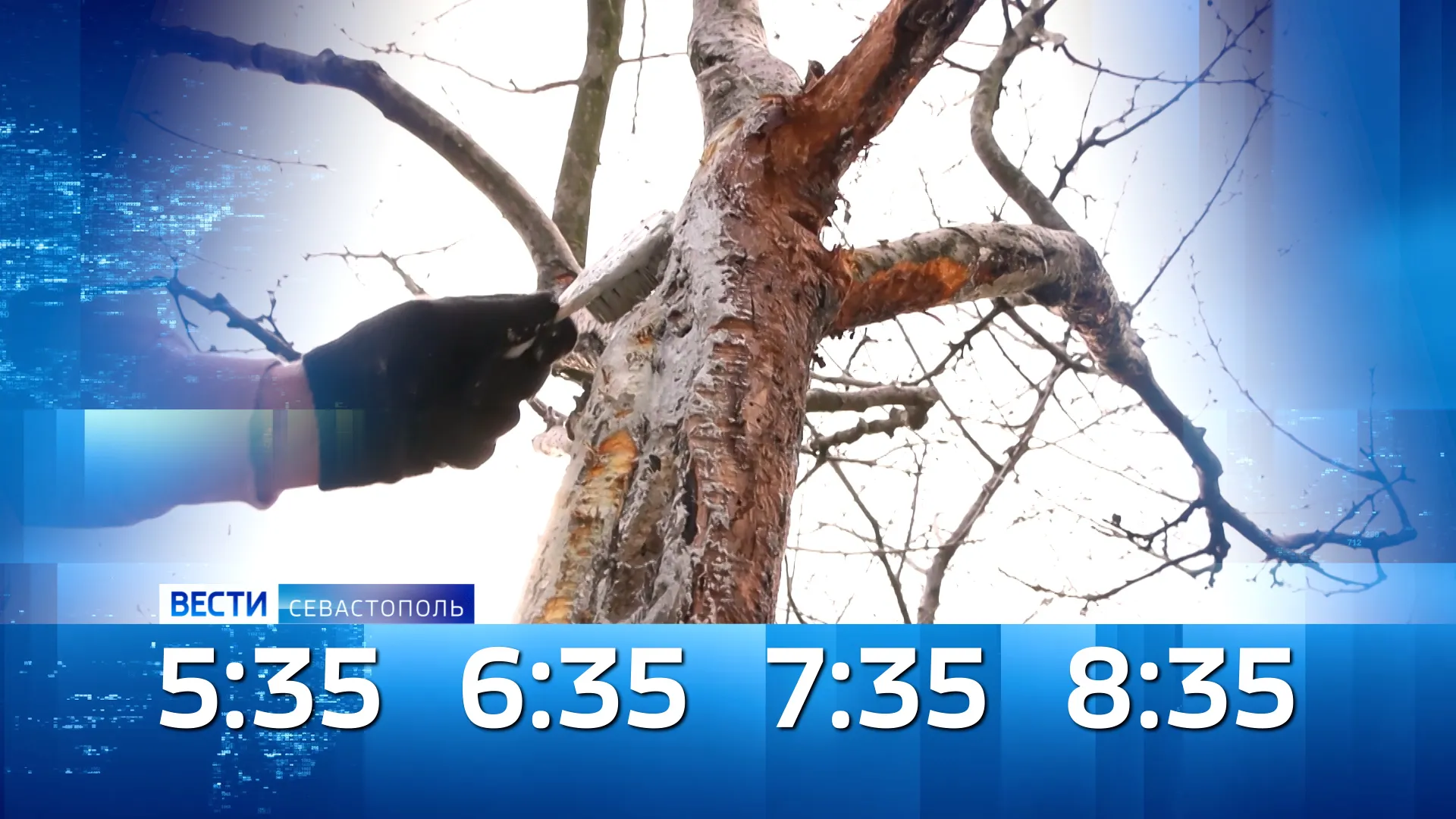 «Вести Севастополь» УТРО 16 апреля 2026 года