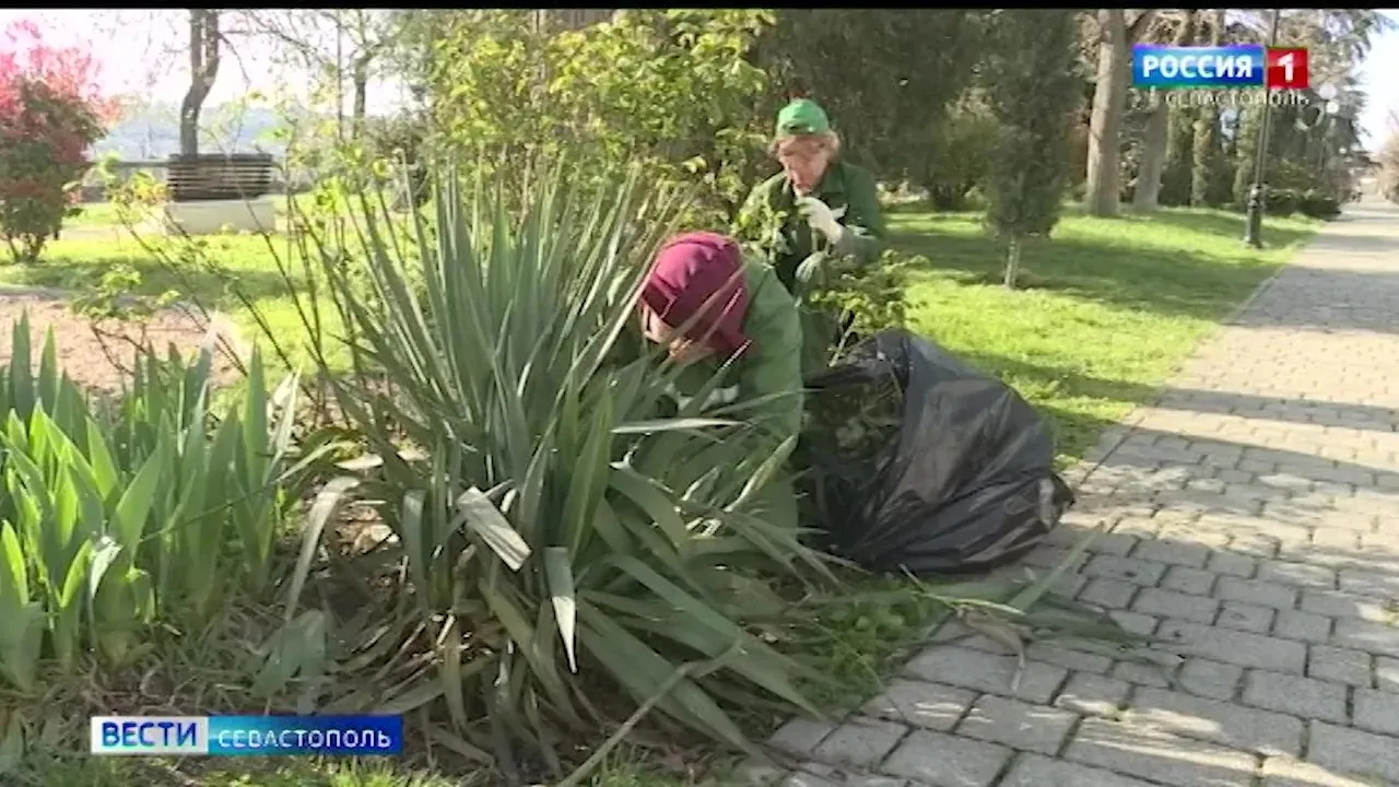 Сквер имени Василия Бузина в Севастополе приведут в порядок></div>
	<div class=