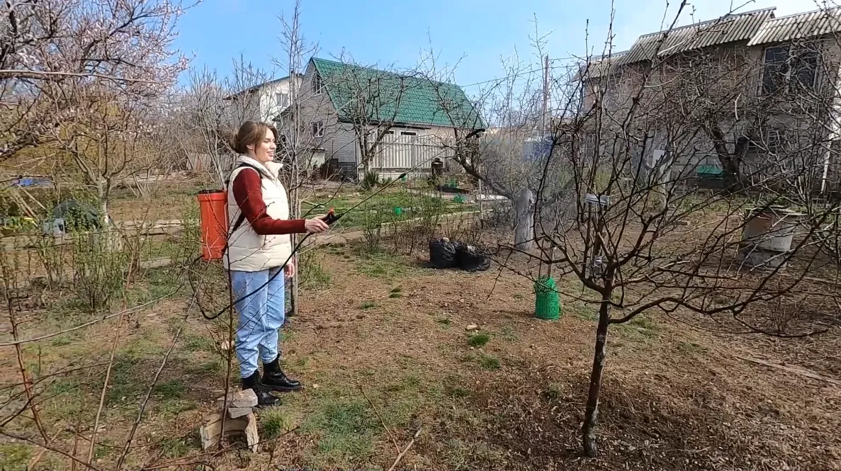 Правила весенней обработки деревьев в саду: советы агронома и эколога