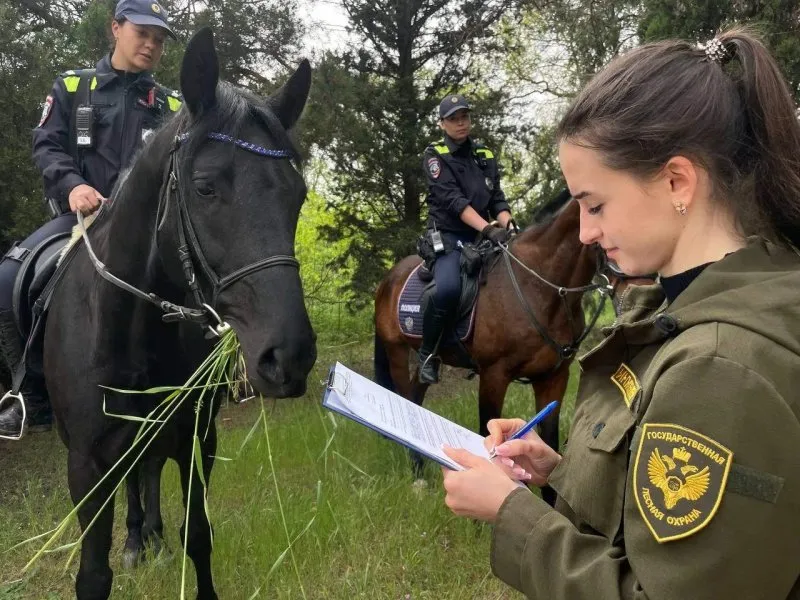 В лесах под Севастополем усилено патрулирование