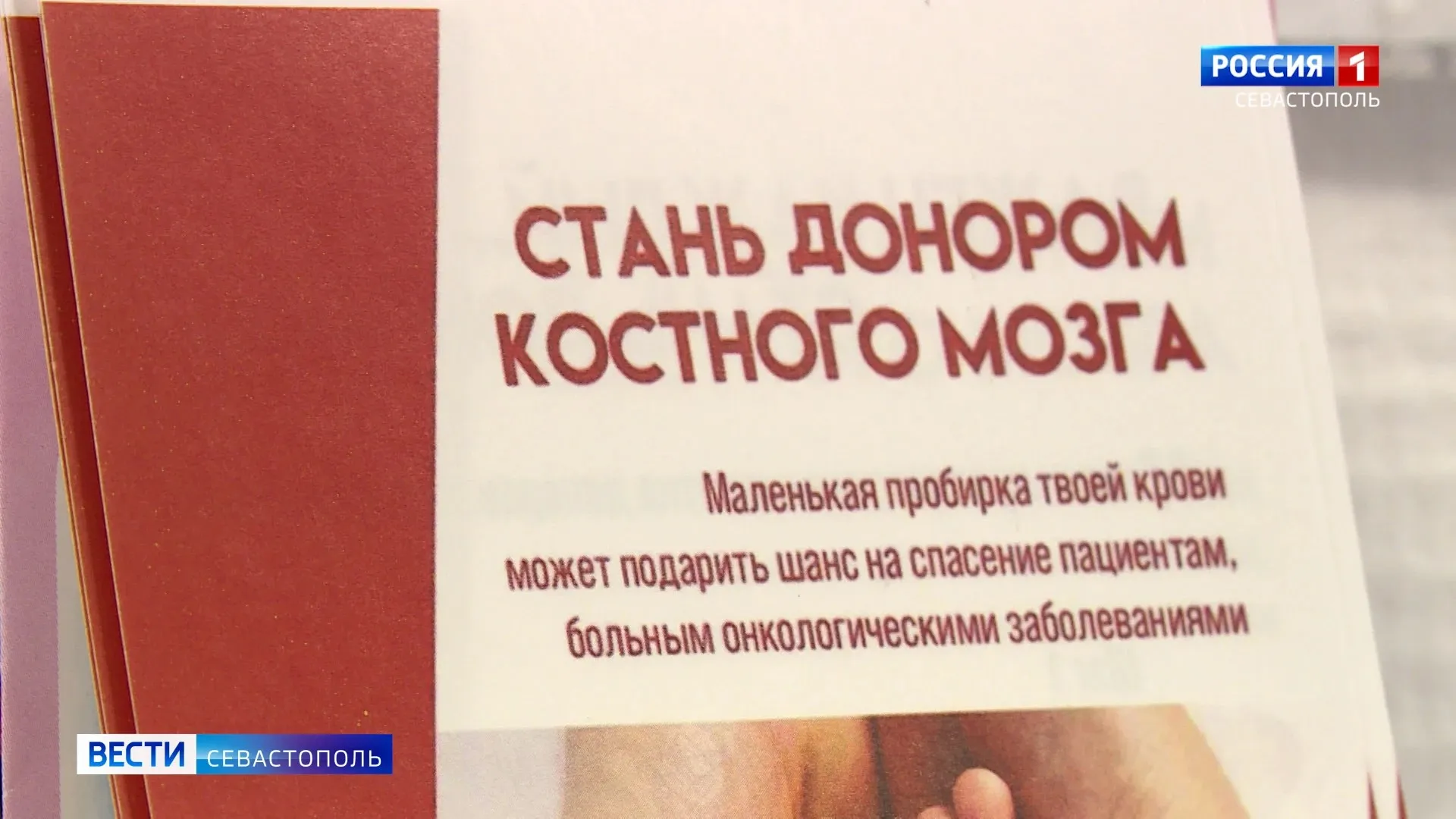 Всё больше севастопольцев вступают в регистр доноров костного мозга